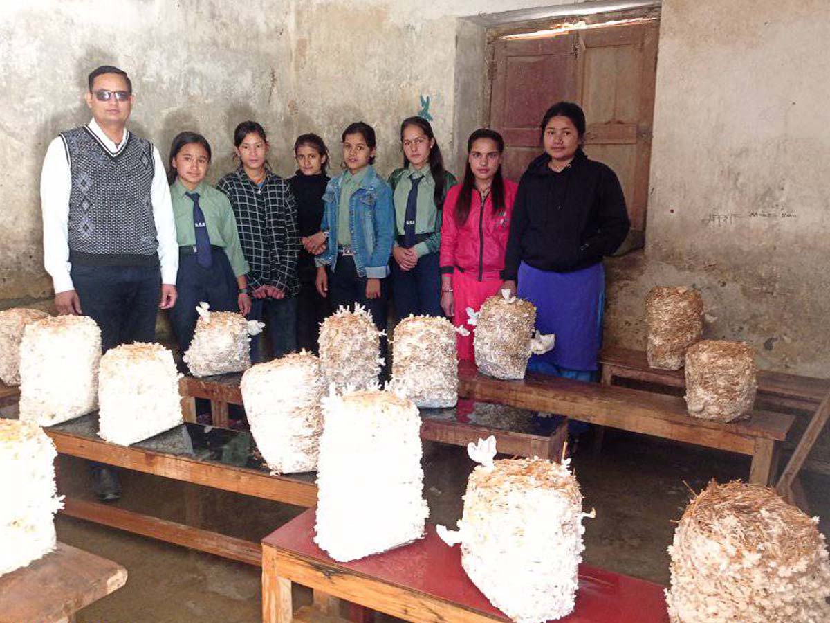 बैतडीको सेटीगाउँ माविका विद्यार्थी ‘पढ्दै, कमाउँदै’